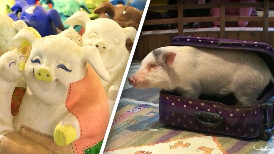 du khach thich thu kham pha bao tang lon tai han quoc