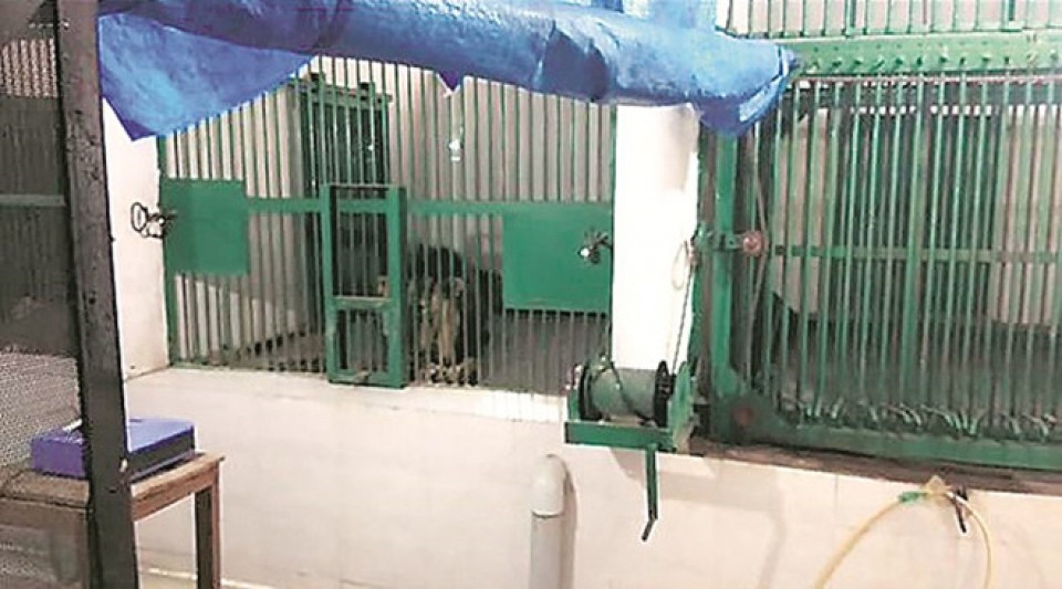 treo tuong vao chuong thu nguoi dan ong an do bi su tu can chet