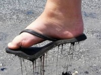 dao noi ky la giua bien hoi an dang tiep tuc no ra