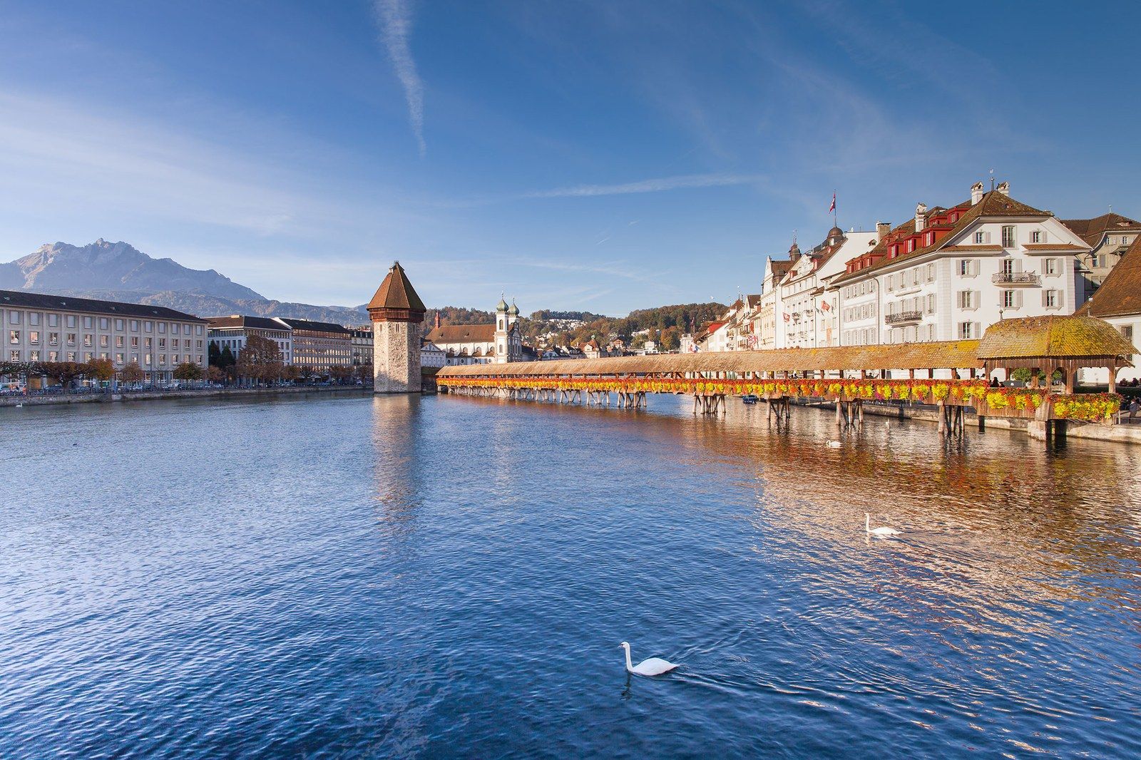 nhung cay cau dep me hon khong the khong ghe tham neu ban den chau au