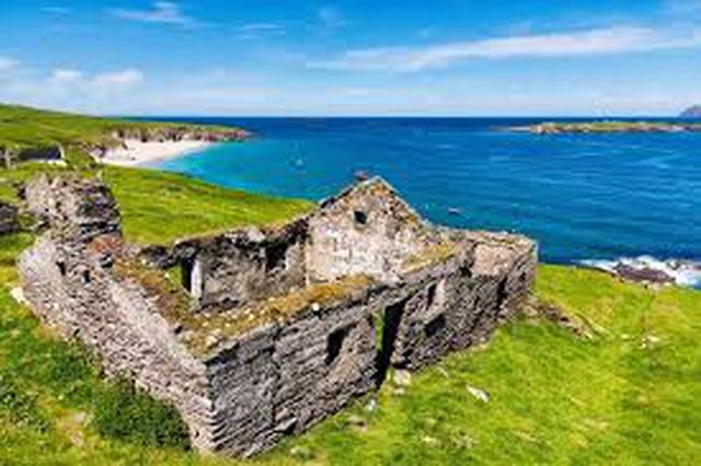 hon dao heo lanh dang tin tuyen dung tim ong ba chu