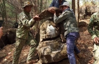 Campuchia: Phát hiện bức tượng quái vật biển cổ xưa 1500 năm tuổi