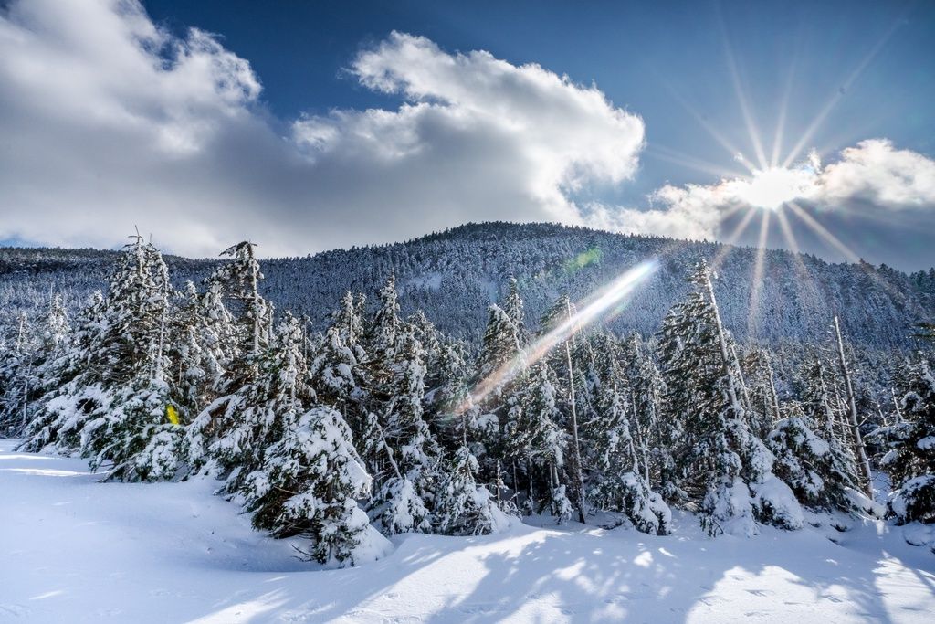 nhat ban muon thu hut du khach my truoc the van hoi mua he tokyo 2020