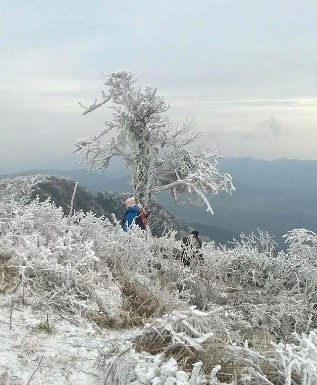 Năm 2018, khi nhiệt độ giảm xuống 0 độ C, nơi đây cũng xuất hiện băng tuyết, thu hút sự chú ý của người dân địa phương và du khách. (Ảnh: dieu_linh98)
