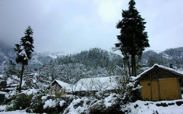 Khám phá những thiên đường ngắm băng tuyết tuyệt đẹp tại Việt Nam