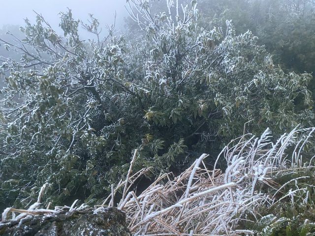 Du khách đổ về Mẫu Sơn ngắm cảnh băng tuyết phủ trắng núi rừng