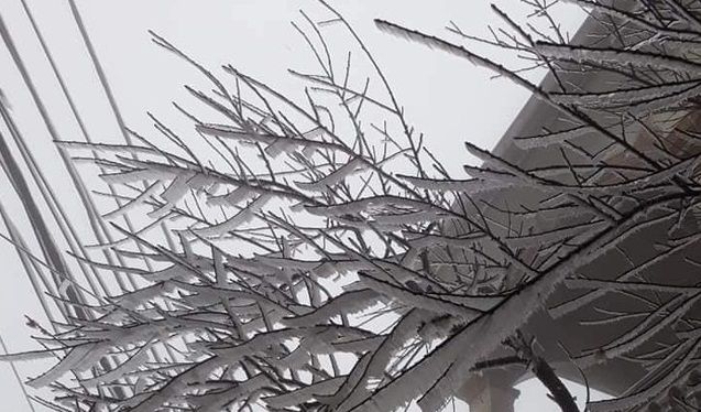 Dự báo thời tiết 3 ngày tới (11-13/1): Hà Nội, Bắc Bộ rét hại, sau rét đậm, ngày có lúc nắng; Trung Bộ, Tây Nguyên mưa rào; Nam Bộ ngày nắng