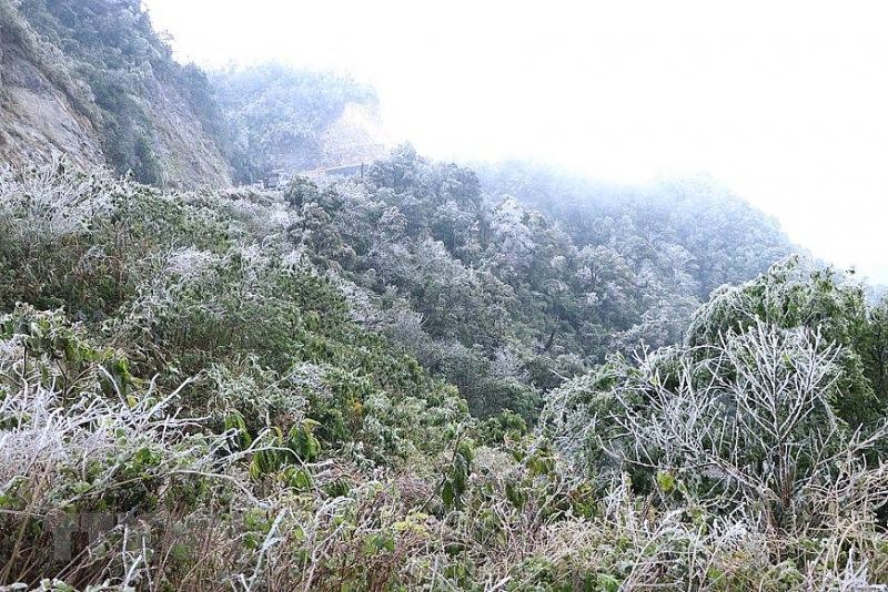 Dự báo thời tiết đêm nay và ngày mai (12-13/1): Bắc Bộ, Bắc Trung Bộ rét đậm, vùng núi cao sương muối và băng giá; Hà Nội nền nhiệt thấp nhất 7-10 độ Dự báo thời tiết đêm nay và ngày mai (12-13/1): Bắc Bộ, Bắc Trung Bộ rét đậm, vùng núi cao sương muối và băng giá; Hà Nội nền nhiệt thấp nhất 7-10 độ