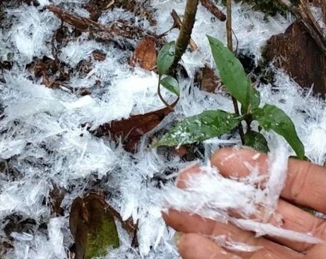 Dự báo thời tiết đêm nay và ngày mai (13-14/1): Cả nước ngày nắng; Bắc Bộ rét đậm; Vùng núi cao băng giá và sương muối; Hà Nội 8-22 độ