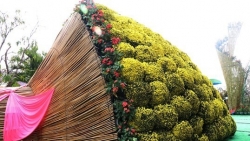 Mô hình bó hoa cúc mâm xôi lập kỷ lục lớn nhất Việt Nam