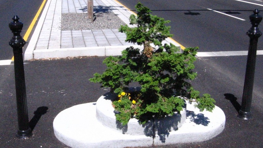 Câu chuyện kỳ lạ về công viên nhỏ nhất thế giới