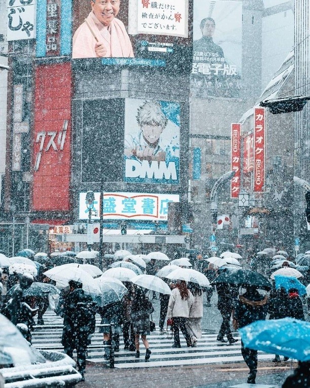 Nhật Bản đang bước vào đợt lạnh 'khủng', nhiệt độ giảm sâu, tuyết rơi dày ở nhiều thành phố. Ở thủ đô Tokyo, tuyết rơi nhiều, tạo nên khung cảnh đẹp như cổ tích. (Ảnh: gabrielandret