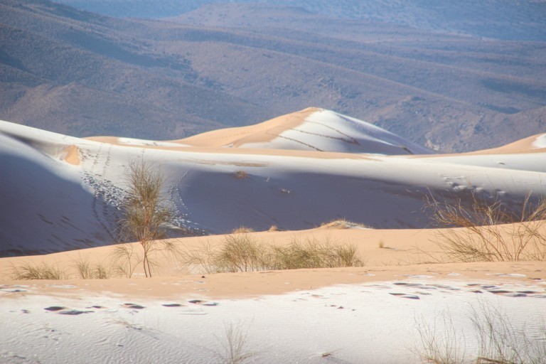 Không khí lạnh bao phủ, sa mạc Sahara chìm trong tuyết trắng
