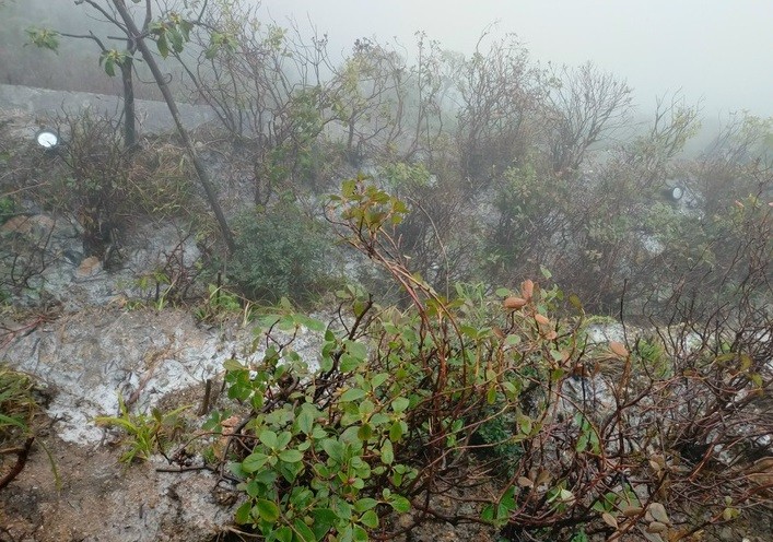 Dự báo thời tiết đêm 21/1 và ngày 22/1 Hà Nội trời rét; phía Tây Bắc Bộ và vùng núi Đông Bắc Bộ rét đậm có nơi dưới 13 độ. (Nguồn: Đài Khí tượng Thủy văn Lào Cai) Dự báo thời tiết đêm 21/1 và ngày 22/1 Hà Nội trời rét; phía Tây Bắc Bộ và vùng núi Đông Bắc Bộ rét đậm có nơi dưới 13 độ. (Nguồn: Đài Khí tượng Thủy văn Lào Cai)