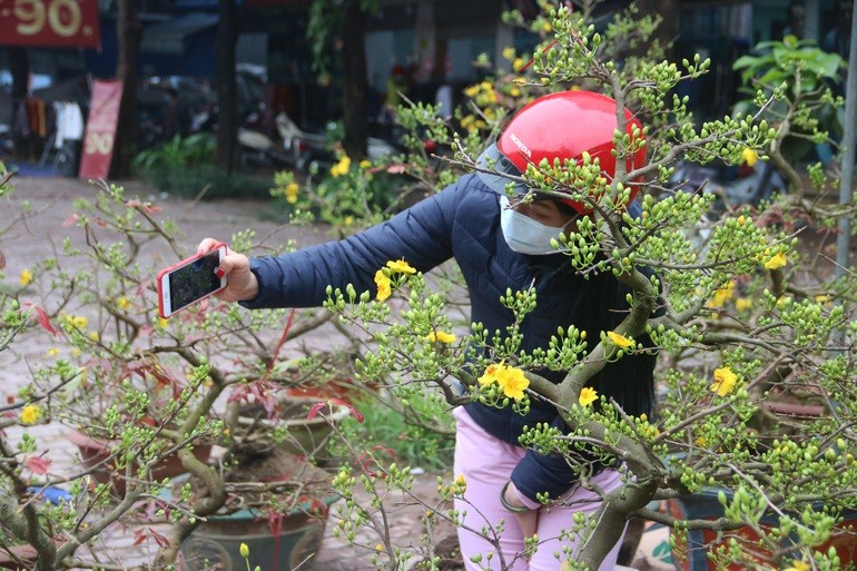 Dự báo thời tiết đêm nay và ngày mai (28-29/1):