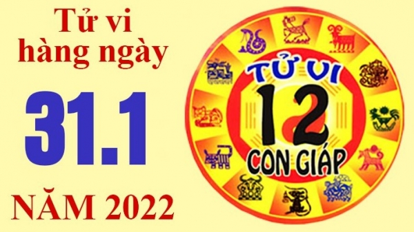 Tử vi hôm nay, xem tử vi 12 con giáp 31/1/2022: Tuổi Mùi cần ...