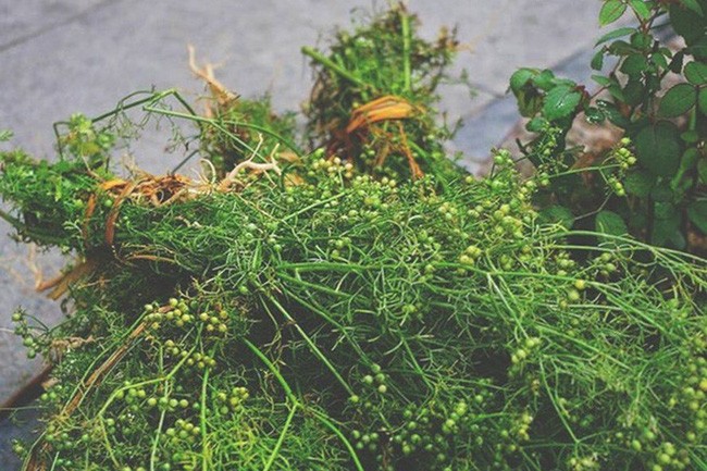 Những phong tục ngày Tết đang thay đổi và mai một dần