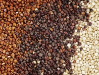 lo qua chen hay noi khong voi cac thuc pham nay