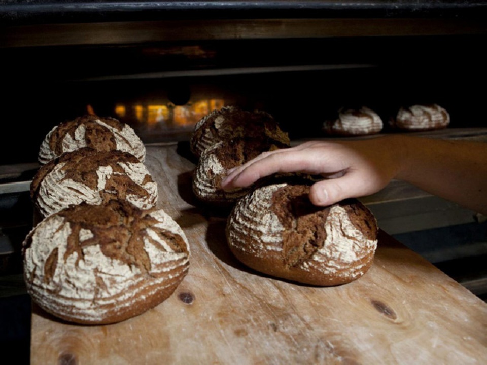 khong co che do an xau hay tot voi nguoi de tang can