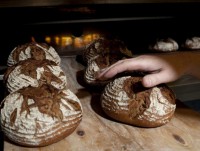 Không có chế độ ăn xấu hay tốt với người dễ tăng cân?