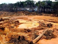 peru canh bao rung nhiet doi amazon bi tan pha voi toc do nhanh