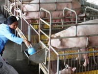 thu nghiem thanh cong cong nghe chinh sua gene