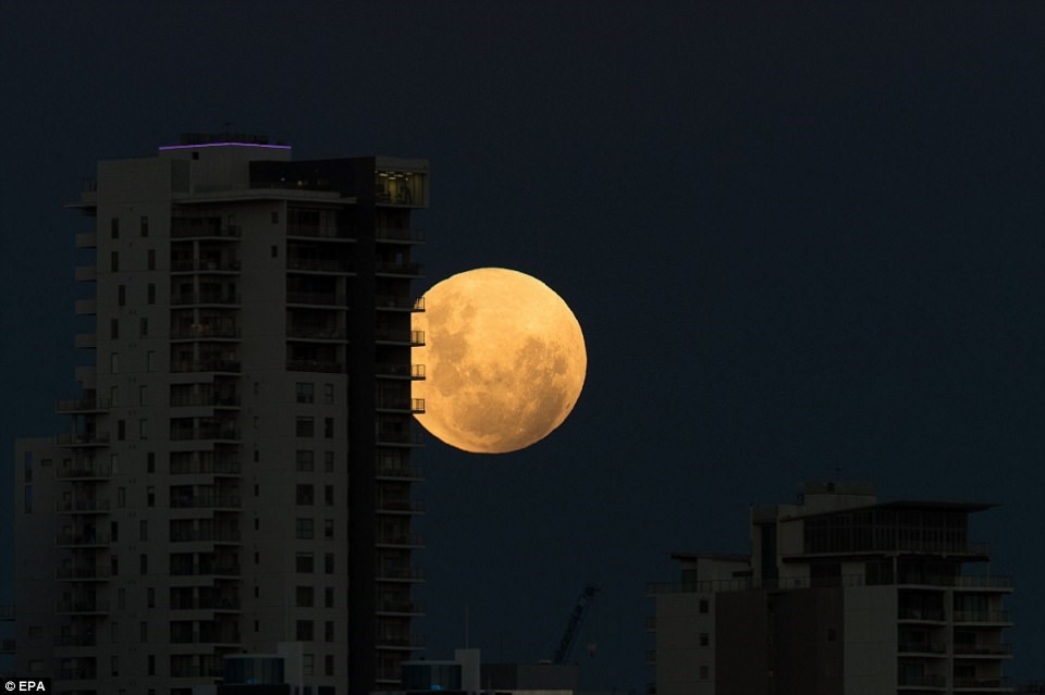 ngam nhung hinh anh sieu trang mau xanh ky thu tren khap the gioi