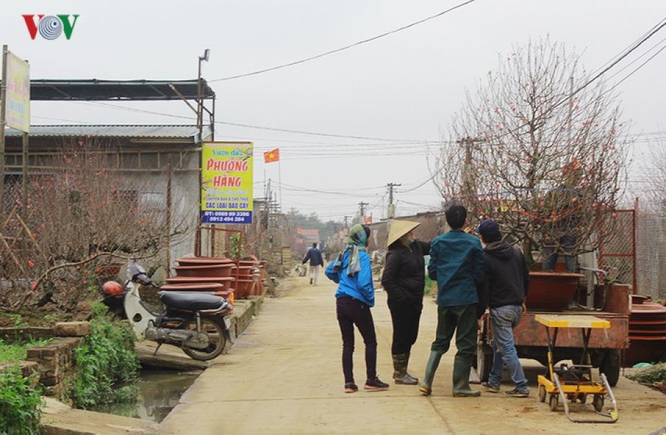 ngam ve dep diu dang cua dao phai nhat tan