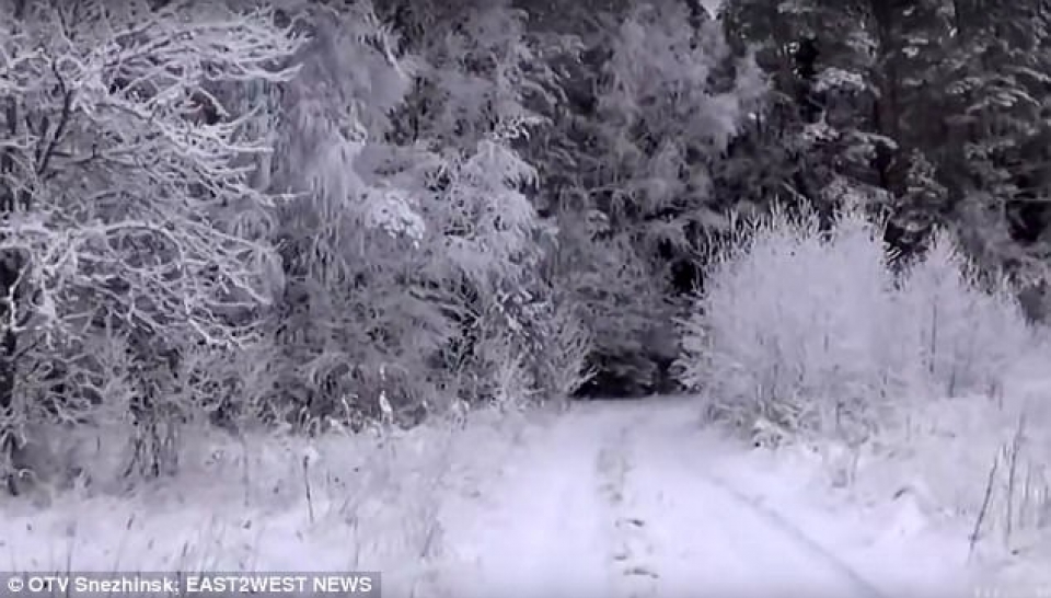 nguoi dan ong song sot trong rung soi nho an tuyet va chiec bat lua