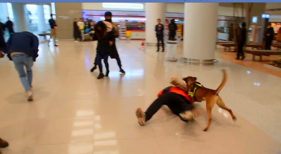 han quoc huy dong 60000 nguoi dam bao an ninh cho olympics