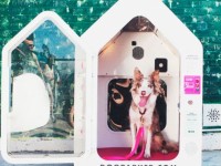 ngam cun cung sam vai sieu mau trinh dien tai moscow