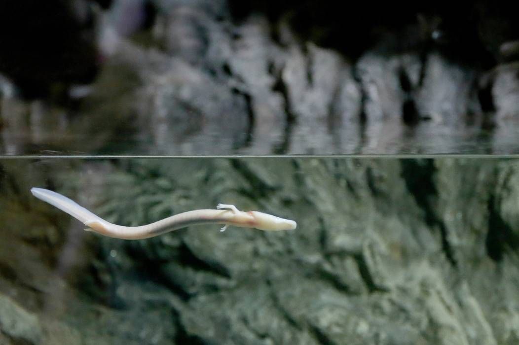 song cham nhu chu ky nhong 7 nam khong di chuyen