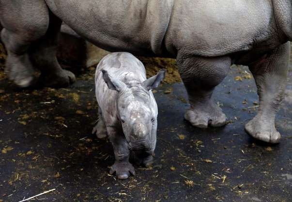 hinh anh dang yeu cua nhung dua tre trong so thu