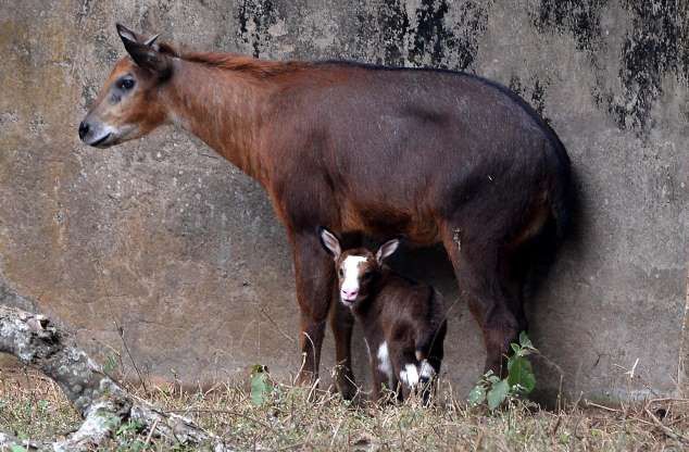 hinh anh dang yeu cua nhung dua tre trong so thu