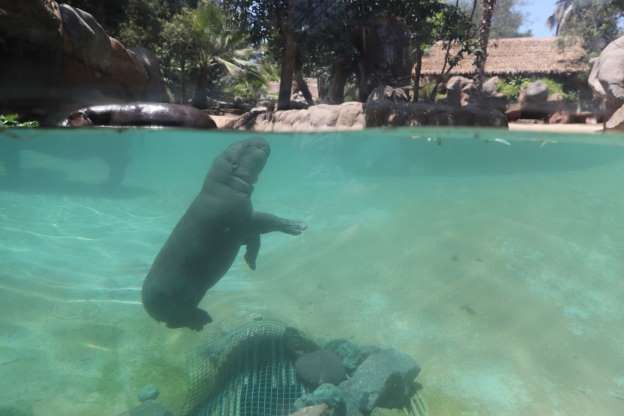 hinh anh dang yeu cua nhung dua tre trong so thu