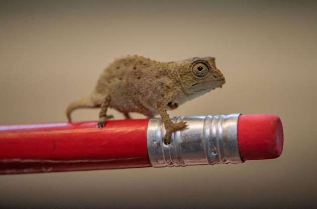 hinh anh dang yeu cua nhung dua tre trong so thu