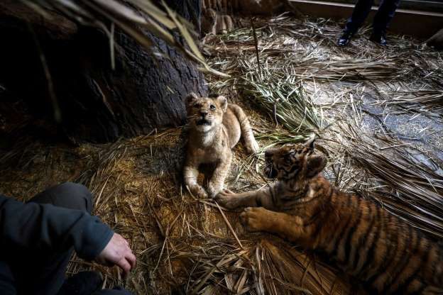 hinh anh dang yeu cua nhung dua tre trong so thu