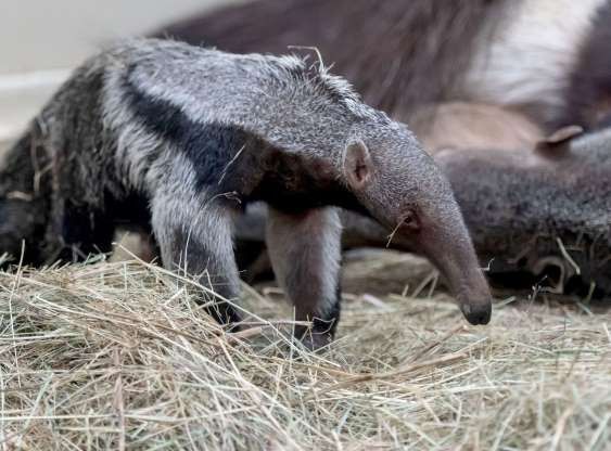 hinh anh dang yeu cua nhung dua tre trong so thu