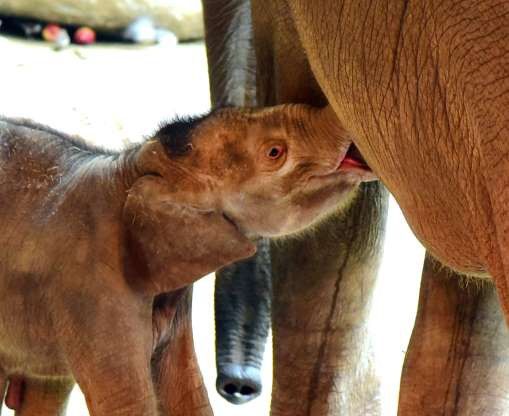 hinh anh dang yeu cua nhung dua tre trong so thu