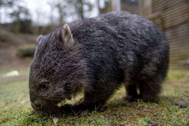 hinh anh dang yeu cua nhung dua tre trong so thu