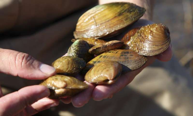 nang nong nhu thieu dot nuong chin hon nua trieu con trai tren bai bien