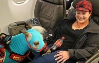 nhung hanh dong dang yeu cua thu cung khien ban tan chay