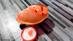 Thái Lan: Vô tình có được viên ngọc trai quý hiếm khi ăn ốc luộc, trúng kho báu 8 tỷ đồng