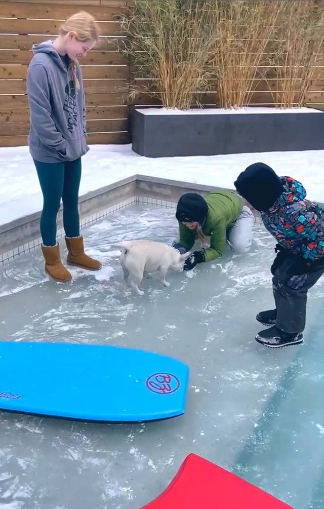 Mỹ: Những khoảnh khắc giá rét kỷ lục khiến vạn vật đóng băng như hóa đá