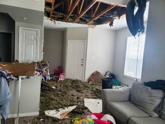 Mỹ: Những khoảnh khắc giá rét kỷ lục khiến vạn vật đóng băng như hóa đá