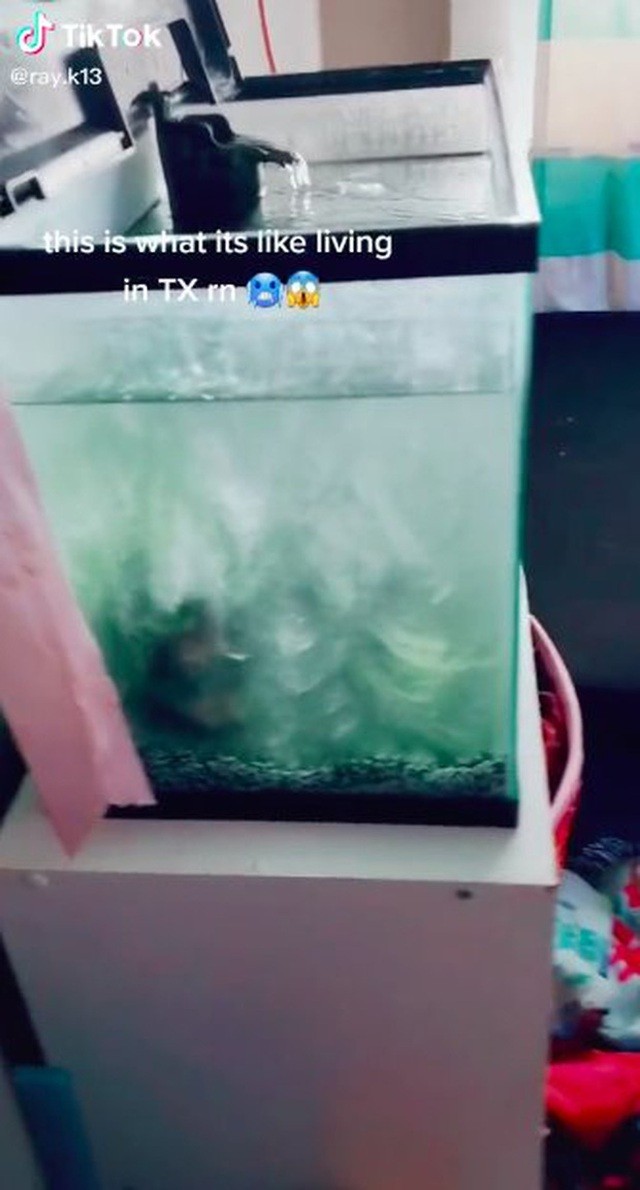 Mỹ: Những khoảnh khắc giá rét kỷ lục khiến vạn vật đóng băng như hóa đá