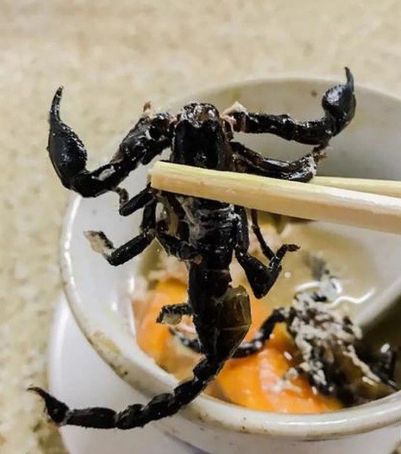 Trung Quốc: Đặc sản canh bọ cạp có tác dụng bồi bổ, giải nhiệt cơ thể