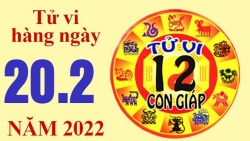 Tử vi hôm nay, xem tử vi 12 con giáp ngày 20/2/2022: Tuổi Tuất ham học hỏi