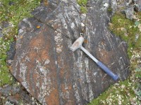 phat hien 250 dau lau trong khu mo bi mat o mexico