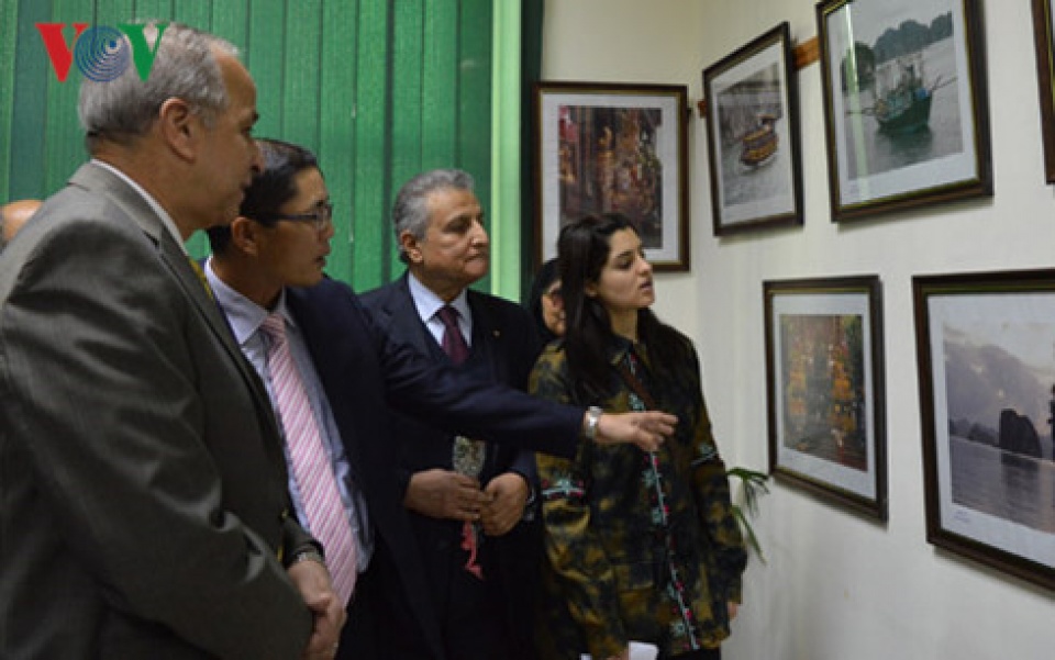 Sôi động ngày văn hóa Việt Nam tại Ai Cập soi dong ngay van hoa viet nam tai tinh qalyubia ai cap